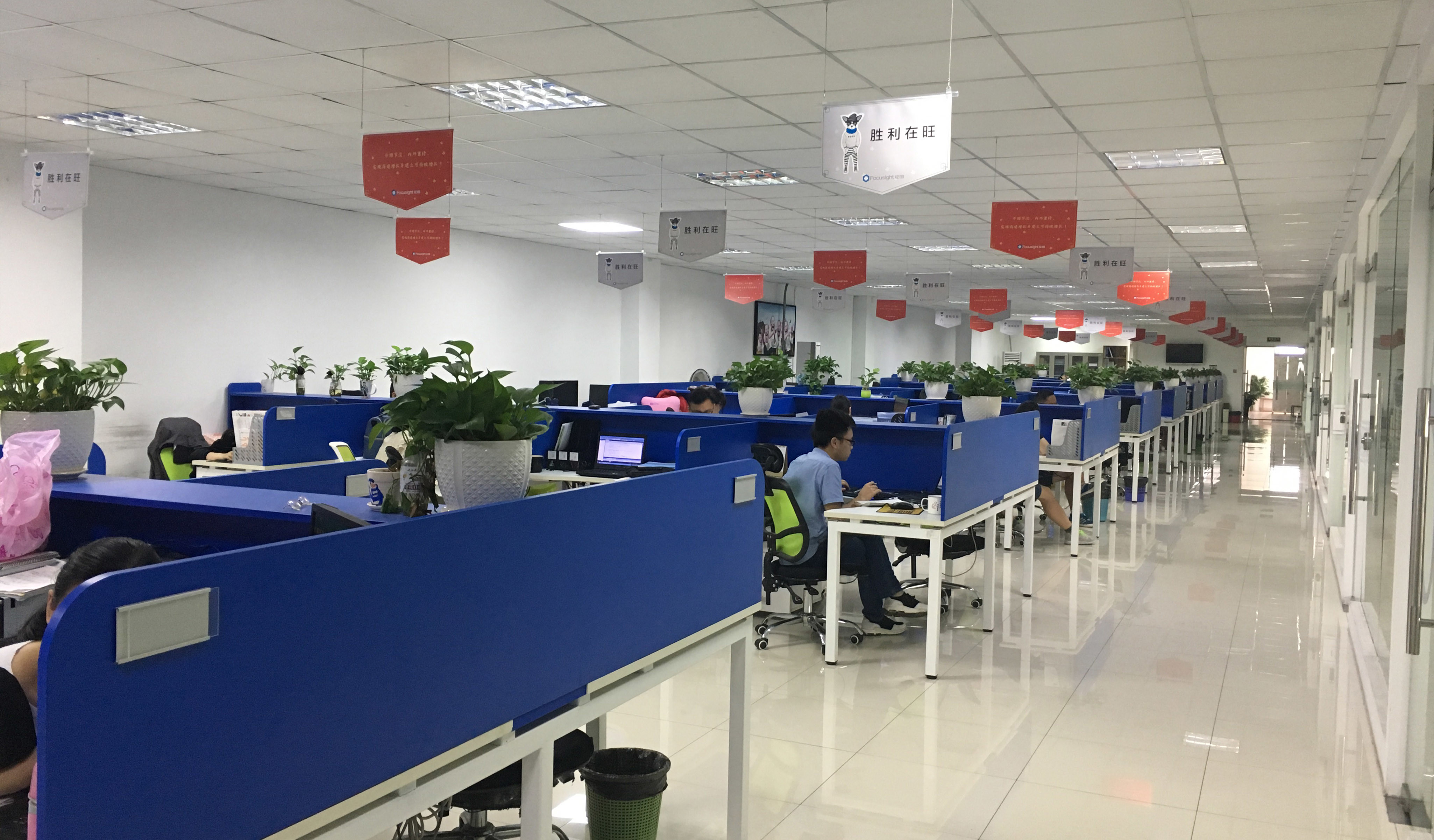 Trung Quốc Focusight Technology Co.,Ltd hồ sơ công ty