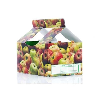 Bao bì trái cây &amp; rau quả với máy kiểm tra chất lượng in thùng carton