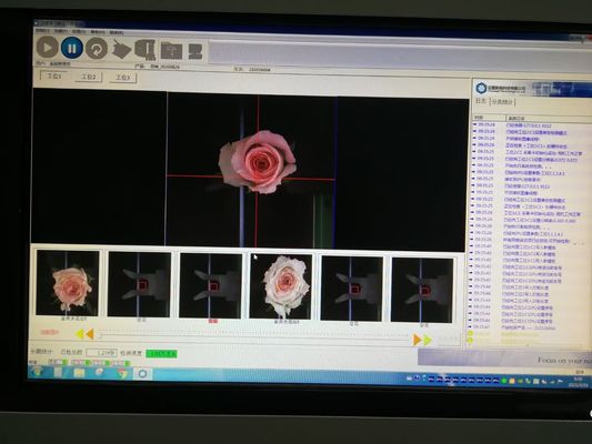 Máy kiểm tra Focusight tự động phân loại hoa